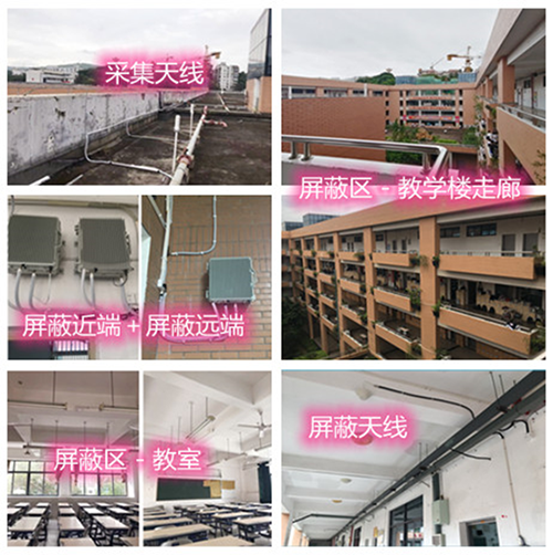  泰顺某中学考场屏蔽案例（数字信令级）